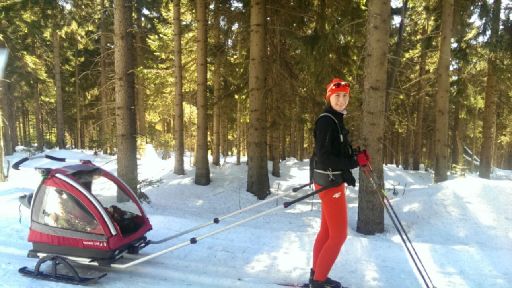 Przyczepka narciarska Nordic Cab w Jakuszycach