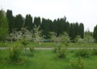 Ogród Botaniczny PAN w Powsinie