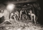 Wakacje z górnikami w Zamku Żupnym w Wieliczce