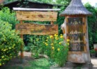 Miody pszczele w Kłóbce