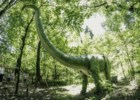 Park Dinozaurów - atrakcje dla dzieci