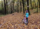 W Dolinie Będkowskiej z dziećmi na rowerze