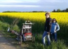 Pola rzepaku przybierają wiosną przepiękny kolor - wycieczki rowerowe z dziećmi na Podlasiu