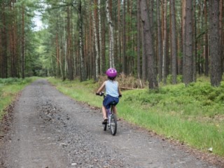 Tata z dziećmi w Lasach Lublinieckich - wycieczka rowerowa