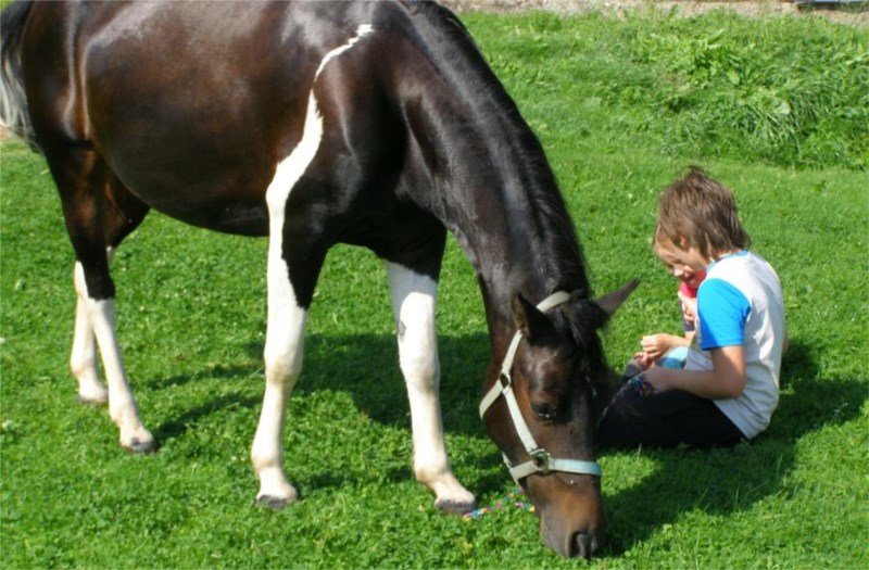 Możliwość nauki jazdy konnej - wakacje z dzieckiem w Karkonoszach