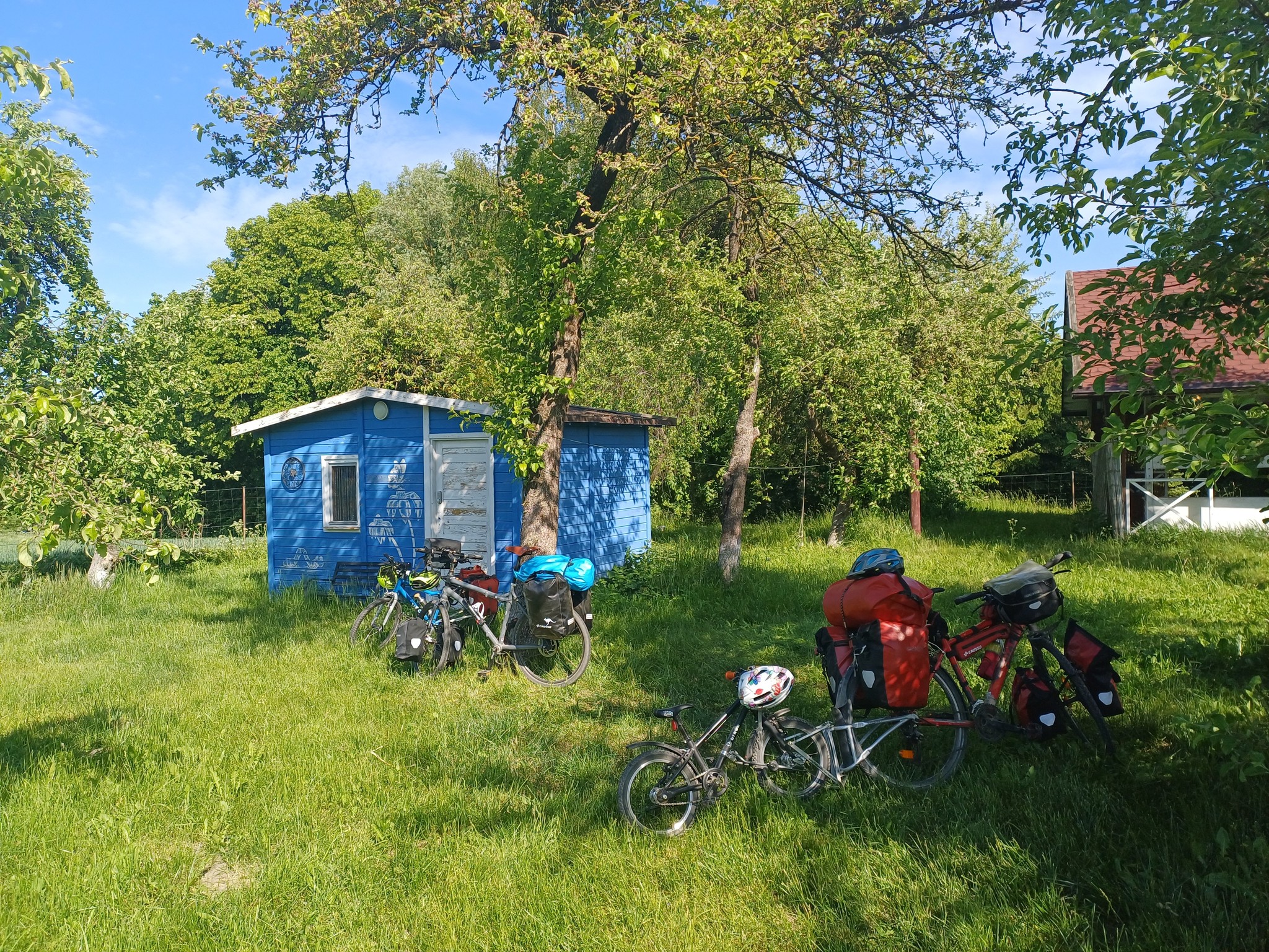 Rowerowa Przystań "Morozówka" - namioty rozbijaliśmy pośród drzew owocowych w ponad 100 letnim sadzie :)